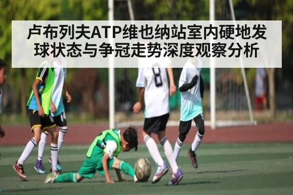 卢布列夫ATP维也纳站室内硬地发球状态与争冠走势深度观察分析
